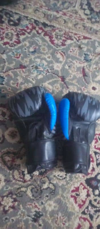 punching bag with gloves 4