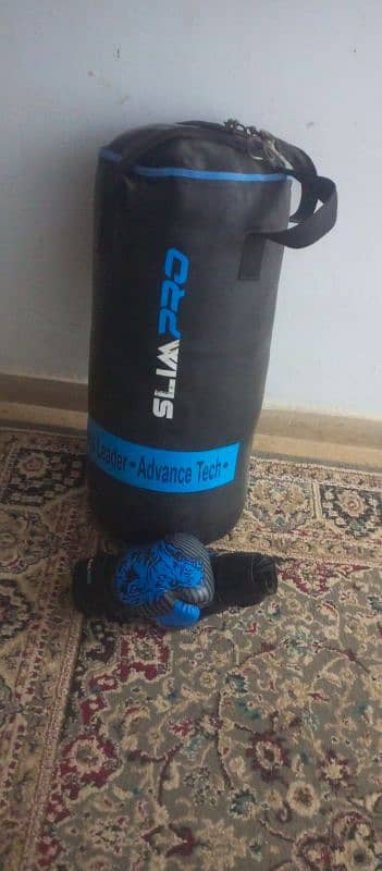 punching bag with gloves 7