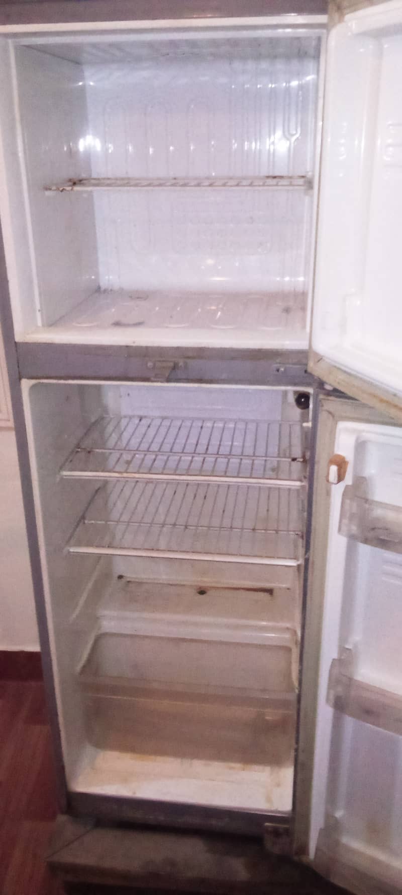 PEL Refrigerator 2 Door  For Sale. (Contact. 03438656088) 3