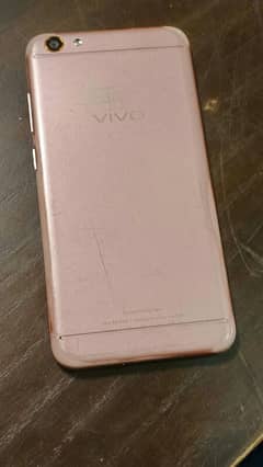 vivo