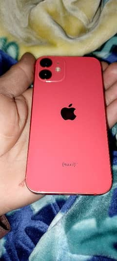 i phone 12 mini