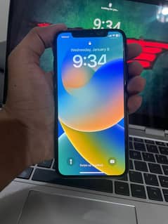 Apple iPhone X