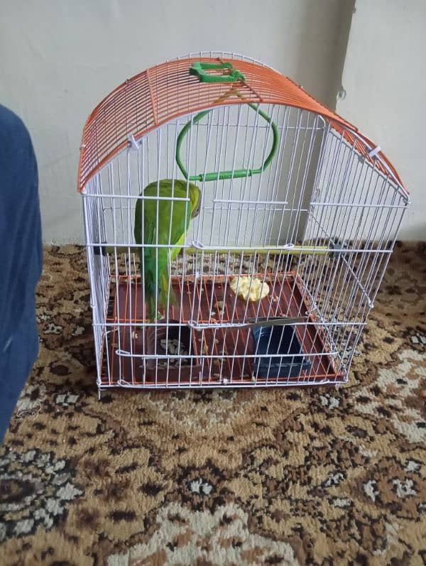 Cage for sale 0