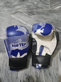 top ten boxing gloves