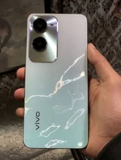 ViVo