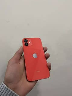 Iphone 12 (jv non active)