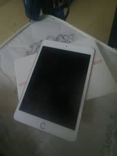 ipad mini 5 golden color