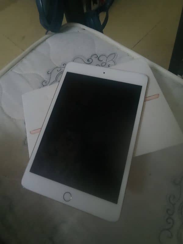 ipad mini 5 golden color 0