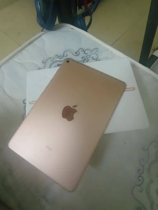 ipad mini 5 golden color 1