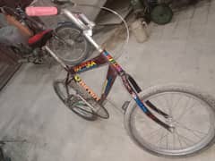 Bicycle for sale