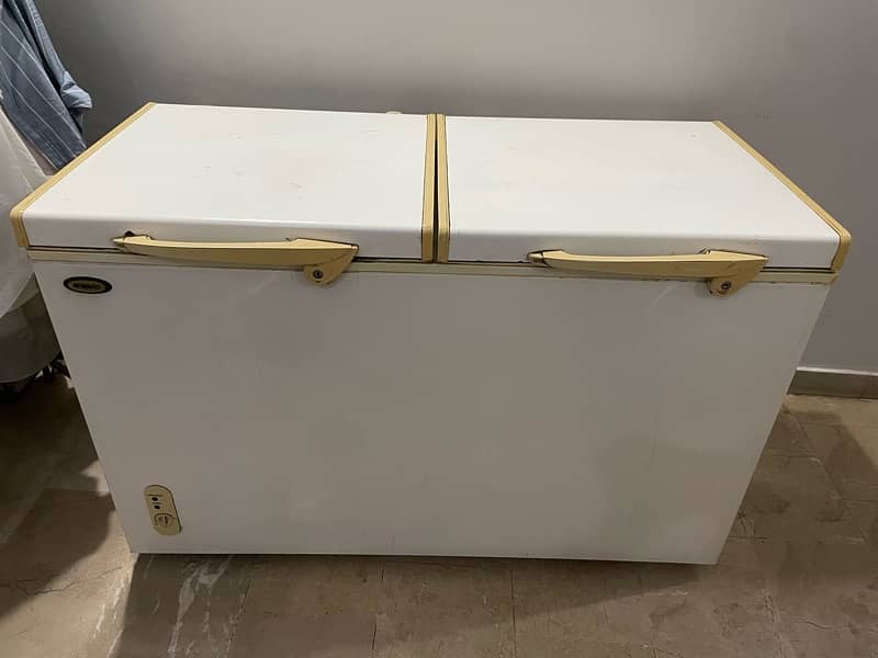 Double door deep freezer 1