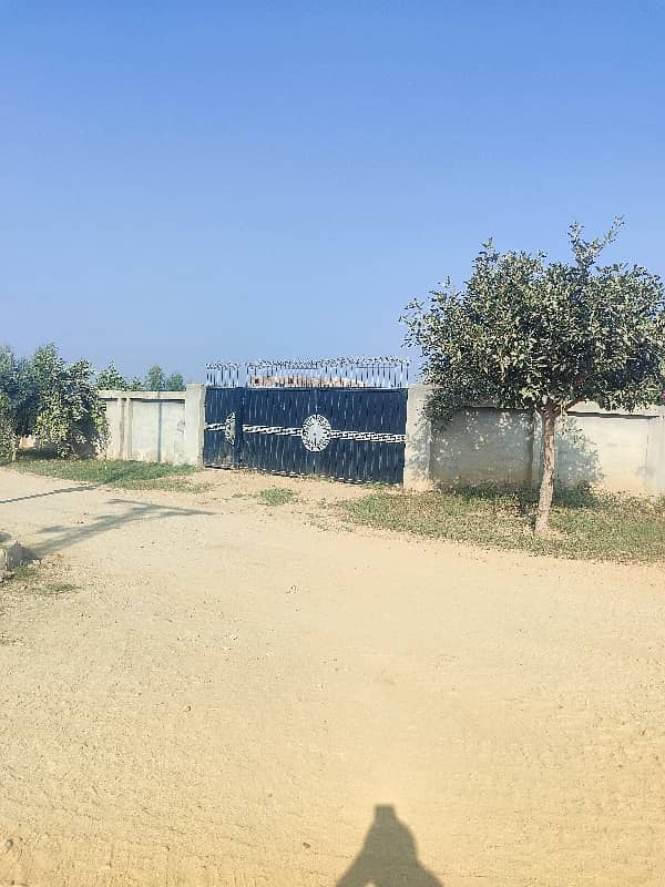 Haven Farms For Sale Best Location Near To Me Near To Safari Garden Near To Ferozepur Road Near To Centre Park 12