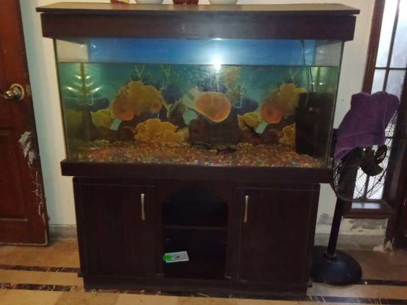 Aquarium for sale 1