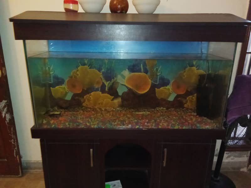 Aquarium for sale 2