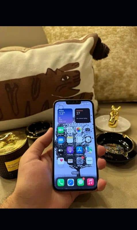 iPhone 13 Pro Max 256gb gold colour 5