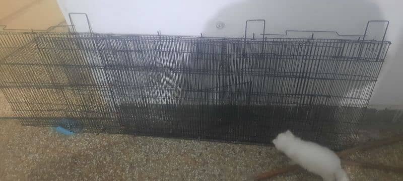 Cage new condition 2