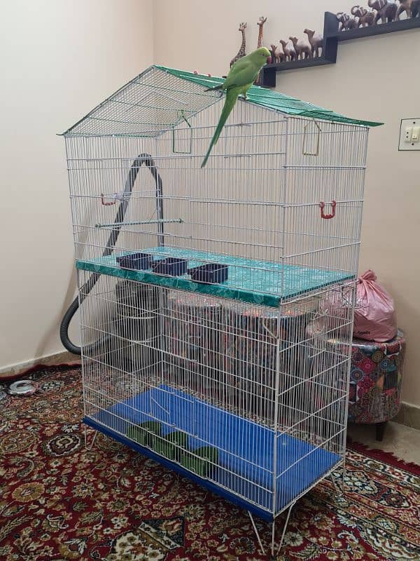 big size new cages for parrots , hen etc 7