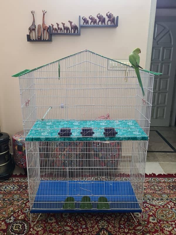 big size new cages for parrots , hen etc 8