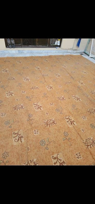 Carpet for sale 13.5*11.5 foot Just like new 0