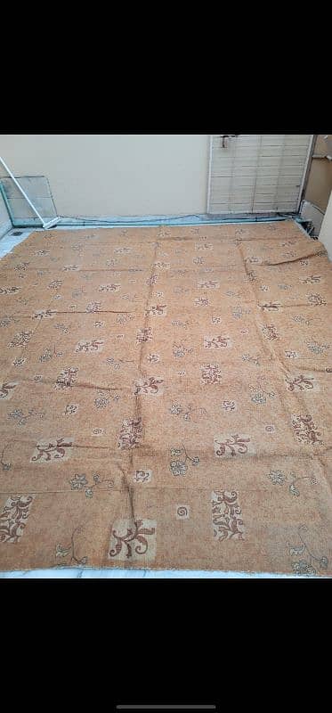 Carpet for sale 13.5*11.5 foot Just like new 1