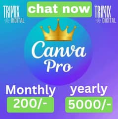 canva pro for 1 year