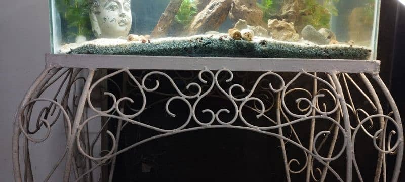 BEAUTIFUL AQUARIUM SETUP FOR SALE 2