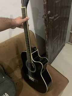 fanatic acoustic guitar