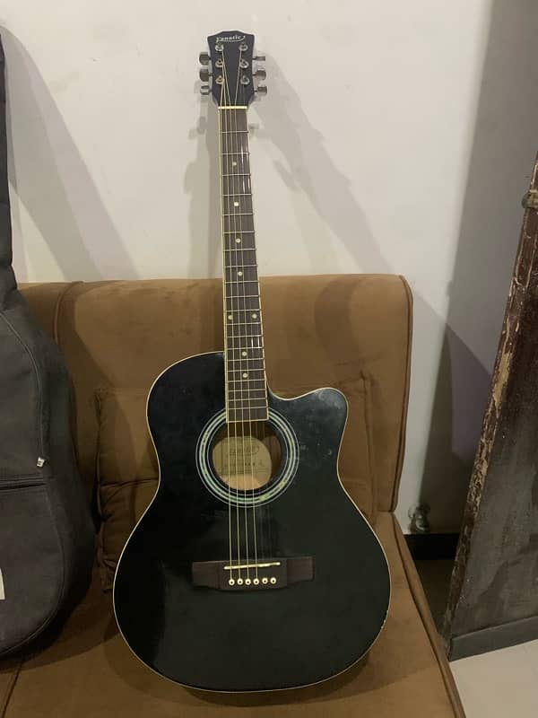 fanatic acoustic guitar 1