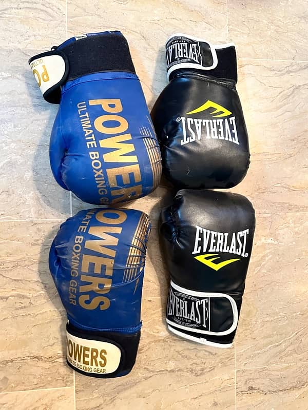 professional Boxing Gloves 1