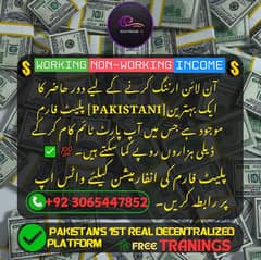 Real Pakistanis Decentralised Smart Contract Based Earning Platform. .