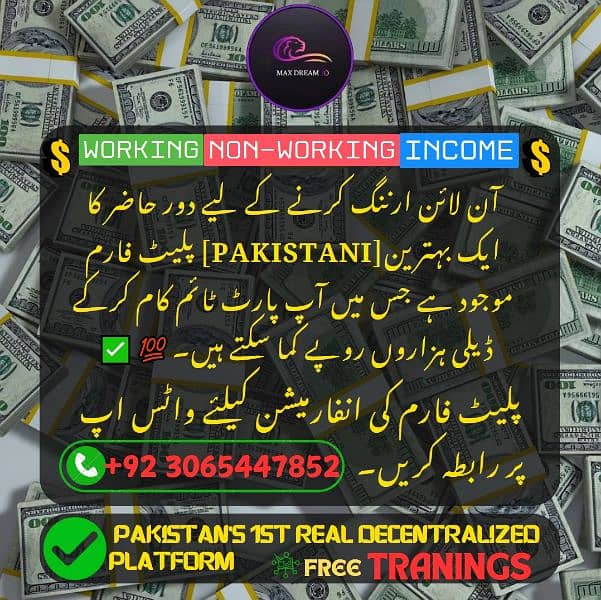 Real Pakistanis Decentralised Smart Contract Based Earning Platform. . 0