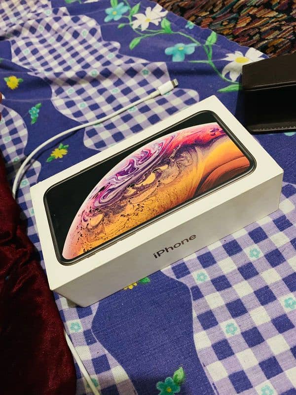 iPhone Xs With Box 6