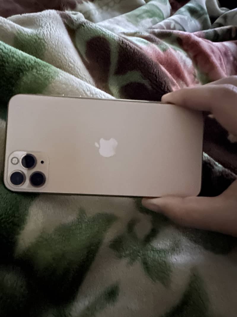 Apple iPhone 11 Pro Max 1