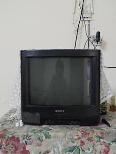 Television