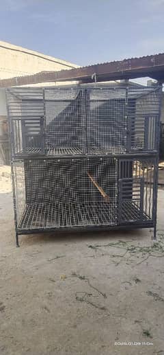 Three portions Cage