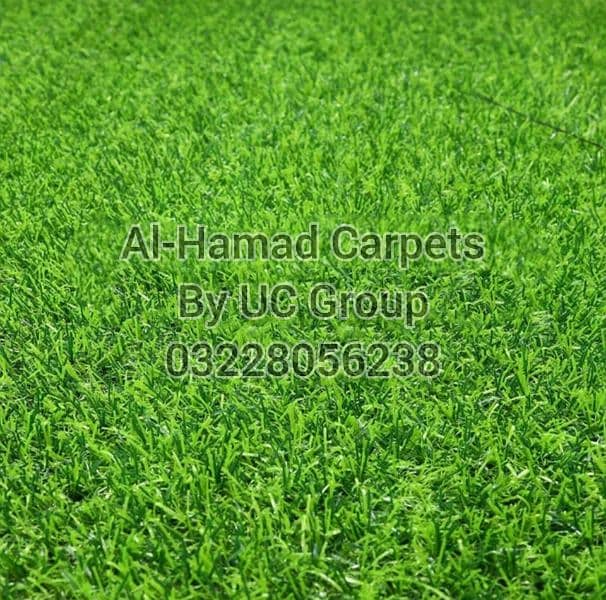 Artificial Grass Carpet & Astro Truf. 13