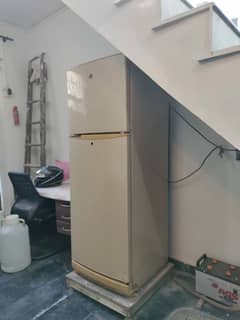 pel refrigerator for sale