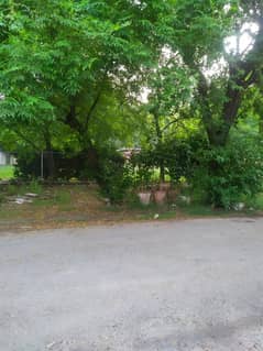 plot for sale in main cantt