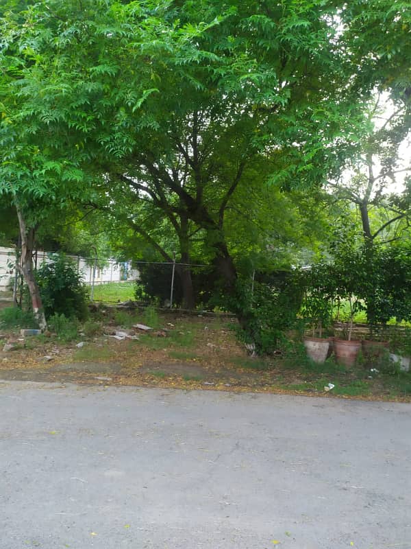 plot for sale in main cantt 4