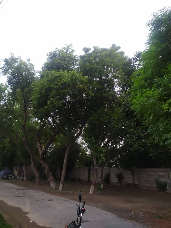 plot for sale in main cantt 7