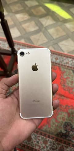 i phone 7