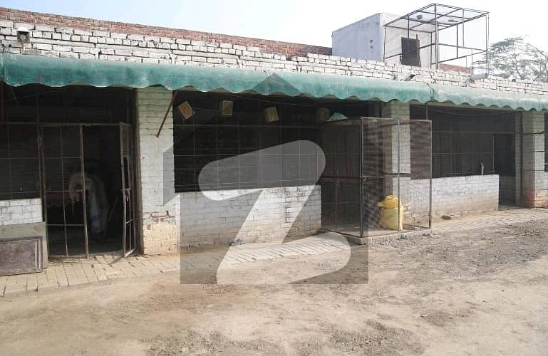 A 32 Kanal Farm House Located In Wagha Town Is Available For Sale 20