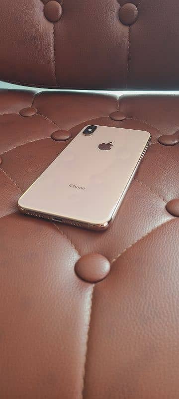 xs max 256gb gold lush set 0