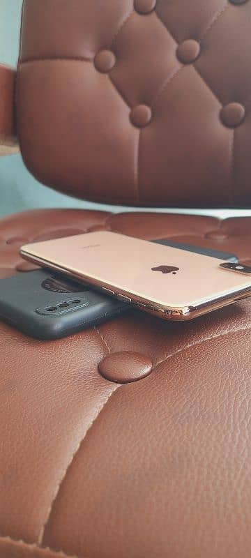 xs max 256gb gold lush set 3