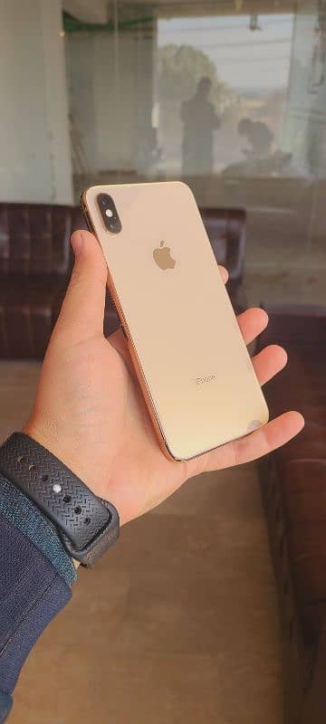 xs max 256gb gold lush set 7