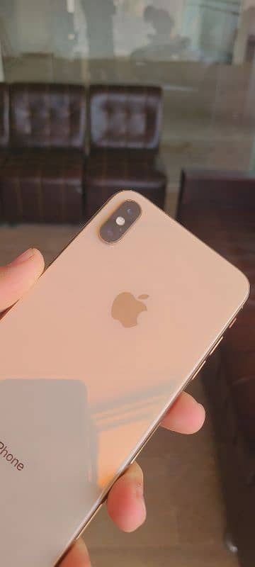 xs max 256gb gold lush set 12