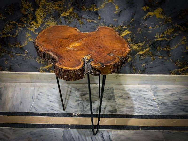 Unique Wooden Tree Slice Table 2