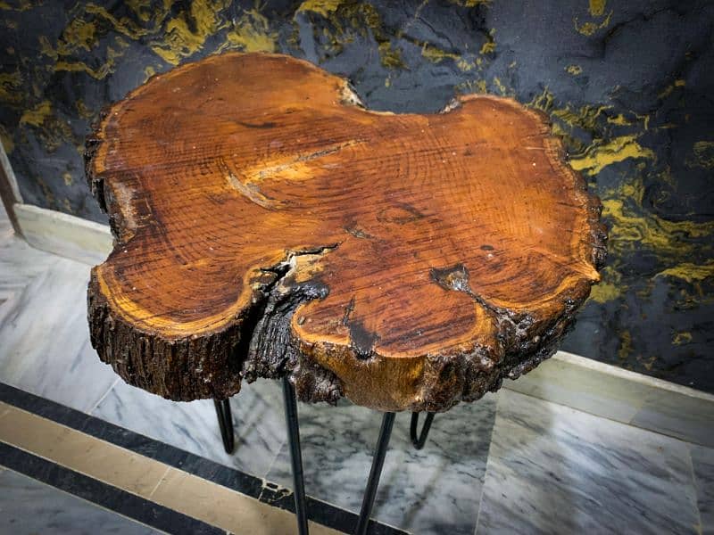 Unique Wooden Tree Slice Table 3