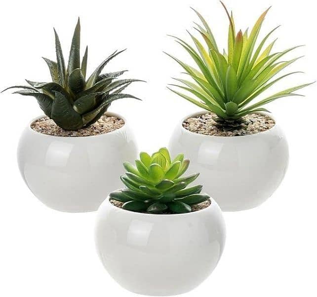 Mini planter set 2pice 3