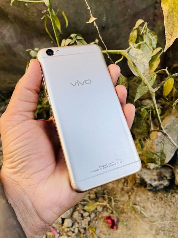 vivo y50 1